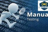 Manual Testing- Agile, Jira, Zephyr,project Interview QA