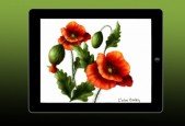 iPad Painting With ArtStudio