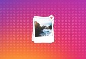 Complete Instagram Domination Course- How I Got 50,000 fans!