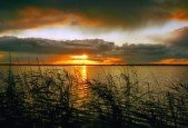 How to use EFT techniques- The Inclusive Starter Kit.