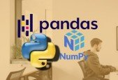 Python for Data Science Bootcamp Course-Beginner to Advanced