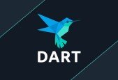 Dart Mastery Become a Dart Master From Zero to Hero