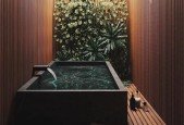 Biophilic Design for Beginners