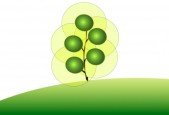 The Java Spring Tutorial- Learn Java Popular Web Framework