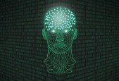 Data structure for fledgling learners