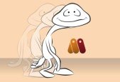 2D Animation in Moho from Basic to Advanced_1