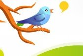 How to Tweet for Beginners