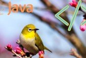 Java Programming and Basics of Spring Boot Microservices