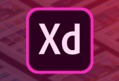 Adobe XD- Aprende a crear prototipos profesionales desde 0