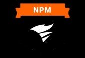 SolarWinds Network Performace Network Exam 2024