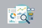 ACL for Audit, Data analysis and Visualization