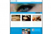 Learn WordPress By Watching How I Create a FULL Website!
