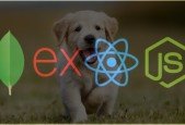 The Complete MERN Stack Developer Course 2020