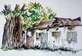 Drawing Textures and Contrast with Pen and Inks Part 2