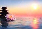Consciously Creating Healing Your Unconscious Patterns