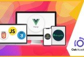 Full Stack Web Development with Vue Js, NodeJS, MongoDB, JS