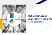 MySQL Database Connectivity using Python