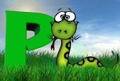 Python 3 from Beginner to Expert Learn Python from Scratch