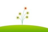 Spring Framework and Spring Boot for Java
