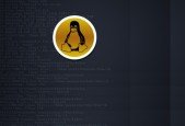 Unix with Scripting for Newbies