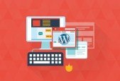 Build Your Own Pro-Quality WordPress Website