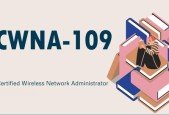 Certified Wireless Network Administrator Practice Tests