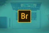 Essential Skills for Designers Adobe Bridge