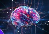 40 Real World Data Science, Machine Learning Projects 2024