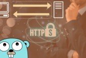 How to develop a productive HTTP client in Golang (Go)
