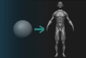 Intro To ZBrush Human Anatomy Sculpting(ZBrushCore 2021)_1