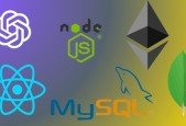 Blockchain developers Gide To Build DApps