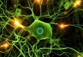 Data Science- Deep Learning and Neural Networks in Python