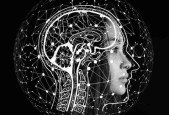 Peak Performance Accountants- How to Master Mental Agility