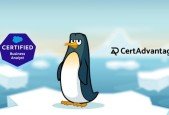 Salesforce Business Analyst Exam Dump Walkthrough