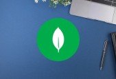 MongoDB Practice Test