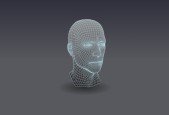Altair HyperWork  Modelling Meshing Run Solver File