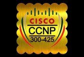 Cisco (300-425) ENWLSD Certification Practice Exams in 2024