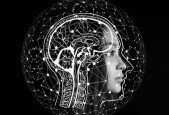 Deep Learning- Convolutional Neural Networks for developers