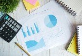 Accounting Basics Financial Statements and Ratios