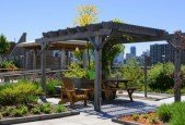 Green Roofs and Living Walls