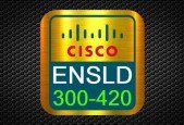 Cisco CCNP Enterprise 300-420 ENSLD Practice Exam Updated 24