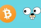 Golang- How to build bitcoin blockchain with go programing