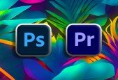 Professional Project Based Graphics Design Video Editing