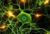 Neural Networks for Classification- Data Science in Python