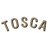 AS1 Tosca Practice for Interviews and new learners