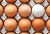 Master the Basics- Small Business Branding Fundamentals